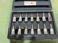 14 piece Allan 3/8 Drive set