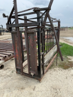 Cattle Chute with head catch