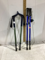 WALKING STICKS