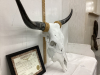 “BON’S LICORICE” LONGHORN SKULL W/ CERTIFICATE - 3