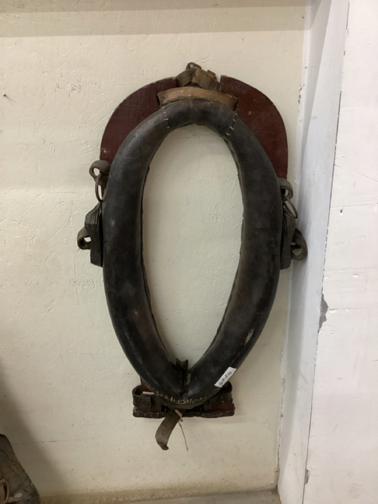 OXEN COLLAR