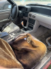 1992 Ford Mustang Coupe ( Not running ) - 5