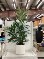 LARGE ARTIFICIAL PLANT