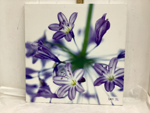 PURPLE FLORAL PICTURE ON CANVAS