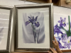 (3) FRAMED FLORAL PICTURES - MUTED TONES - 3