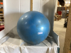 EXERCISE BALL