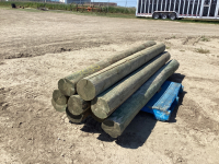 (9) POSTS - 7-8" x 8’- 8'6"