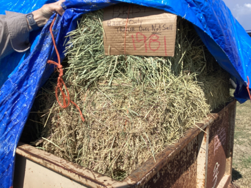 13 SMALL SQUARE BALES OF 2024 GRASS HAY - TRAILER NOT INCLUDED