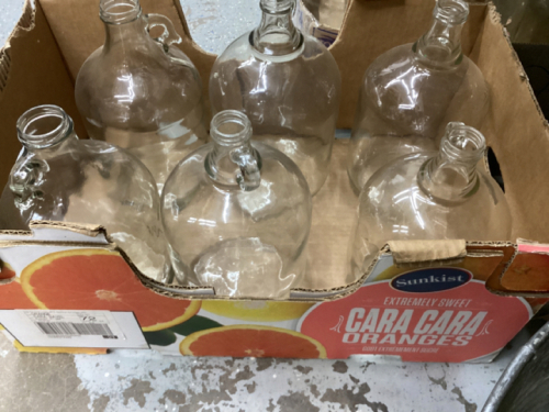 LARGE GALLON GLASS JUGS