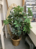 ARTIFICIAL PLANT