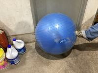 BODYFLUX BALL