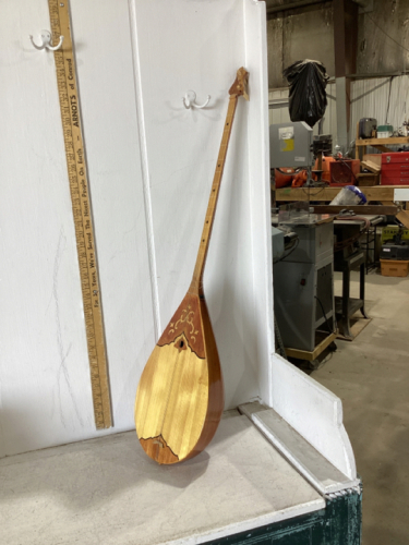 2-STRING MUSICAL INSTRUMENT