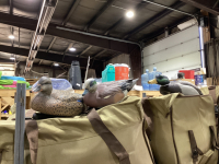 SHELF 10: DUCK DECOYS IN GOOD CARRYING BAGS - (4) BAGS W/ (12) DUCKS/BAG & (2) BOXES OF ANCHORS