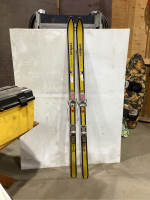 DAIWA GLASS METAL SKIS