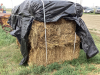 (18) SMALL SQUARE GRASS BALES - 2