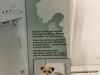 PETSAFE ELECTRONIC SMART DOOR - MISSING SMART KEY - 2