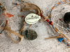 COLLECTION OF DREAM CATCHER ORNAMENTS - ASHTON DRAKE GALLERIES - 4