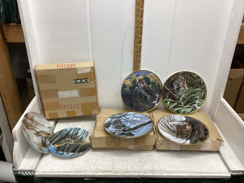 “OWL” COLLECTOR PLATES