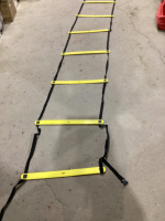 EVERLAST TRAINING LADDER