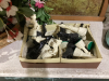 BOX W/ ARTIFICIAL FLOWERS, BOOT VASE/PLANTER, CHESS PIECES, - 2