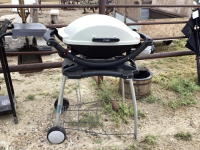 WEBER GAS BBQ - SMALLER SIZE