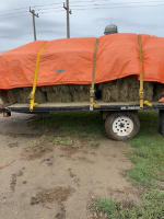 50 Second cut alfalfa/grass 70/30 small square bales 55 -60lbs