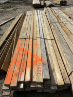 Bundle of 12 foot 2 x 4