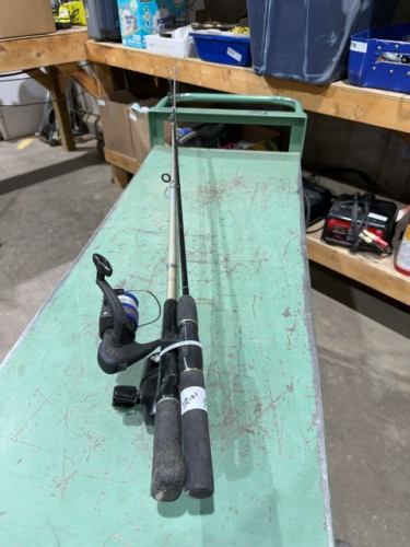 Two fishing rods with reels