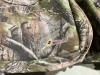 API OUTDOORS SOFT SIDE CAMO QUAD STORAGE BAG - 2