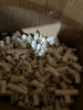 Tub of miscellaneous plumbing parts, and supplies - 2