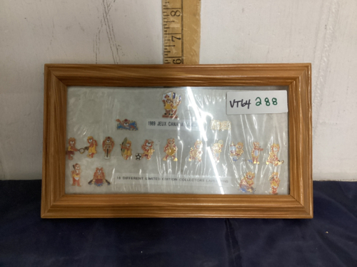 COLLECTION OF FRAMED 1989 CANADA GAMES LAPEL PINS