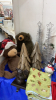 BOXFUL OF CHRISTMAS DECOR - 2