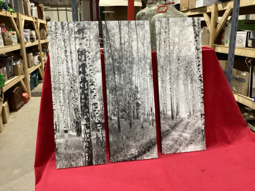 3 CANVAS TREE PICTURES