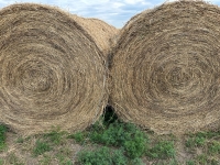 STACK # 1 - LOAD 2 , LOCATED @ ROSEMARY AB.