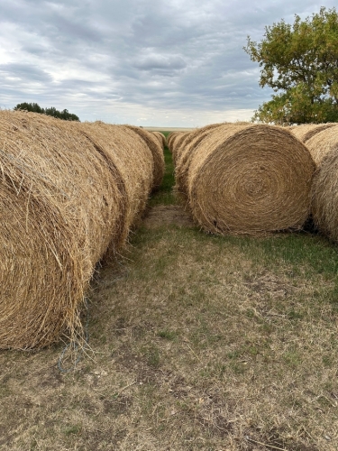 STACK # 5 - LOAD 2 , LOCATED @ GEM AB.