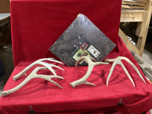 ANTLER SHEDS AND CORNER SHELF