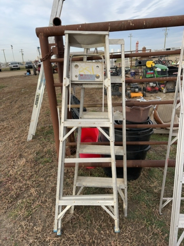 Two aluminum step ladders