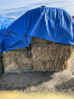 One pallet of 29 bales Grass Alfalfa Mixed Hay