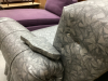 VINYL COVERED SOFA - 3