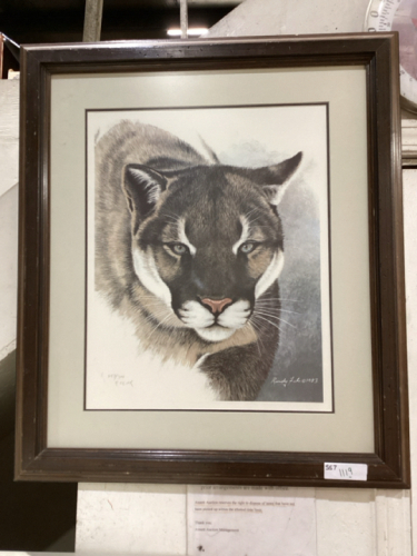 FRAMED COUGAR SKETCH BY RANDY FEHR 1983