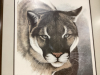 FRAMED COUGAR SKETCH BY RANDY FEHR 1983 - 4