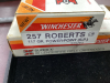 55 LIVE ROUNDS WINCHESTER 257 ROBERTS 117 GR - 2