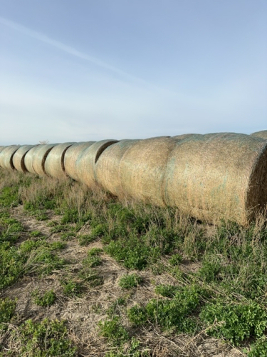 # 7 EAST STACK - LOAD 1 . LOCATED @ ROSEMARY AB.