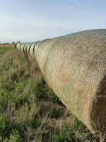 STACK 7 , EAST STACK - LOAD # 2 , LOCATED @ ROSEMARY AB.