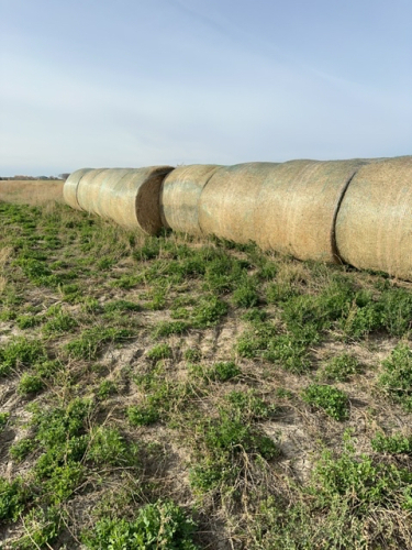 STACK 7 , WEST STACK , LOAD 1 , LOCATED @ ROSEMARY AB.