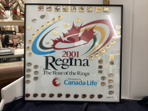 FRAMED 2001 REGINA LAPEL PINS