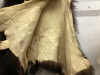 BLACK BEAR TANNED HIDE - 4