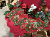 BOX WITH CHRISTMAS DECOR ITEMS - 2