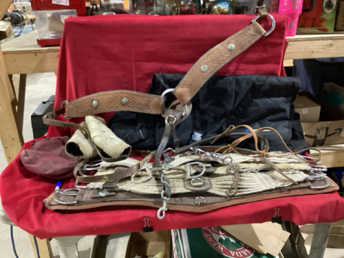 HORN BAG, CINCHES, TIE DOWN,BOOTS, BREAST COLLAR, BITS, HALTERS