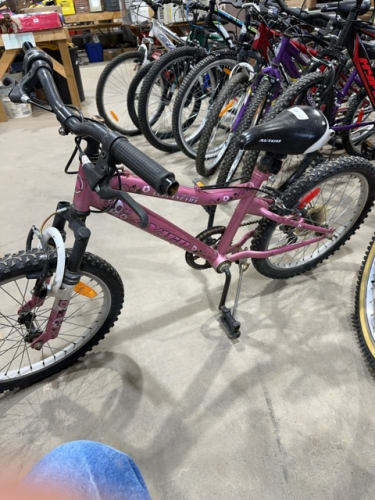 Avigo Girls bike